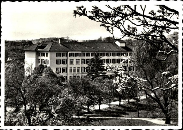 Pompaples Vorderseite
