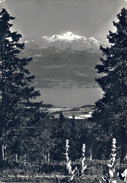 Le Mont Blanc et le Léman vus du Marchairuz Vorderseite