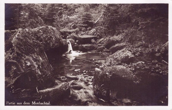 Partie aus dem Monbachtal