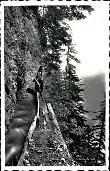 Le Bisse de Roh Vorderseite