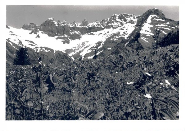 Elm: Segnespass, Martinsloch, Tschingelhorngruppe u. Piz Ofen Vorderseite