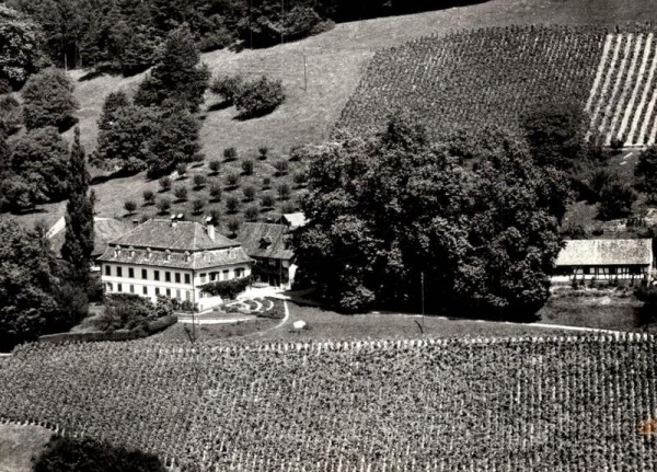 Ottoberg TG - Flugaufnahmen Vorderseite