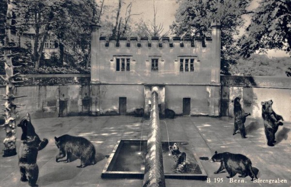 Bern. Bärengraben, Berne, La Fosse aux Ours Vorderseite