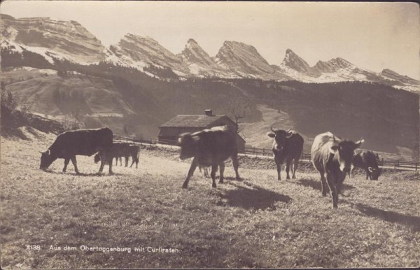 Aus dem Obertoggenburg mit Curfirsten, Churfirsten Vorderseite