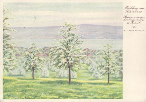 Frühling am Zürichsee Vorderseite