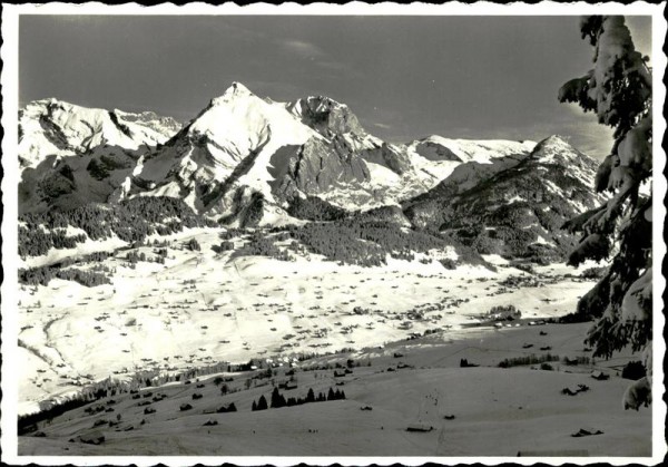 Obertoggenburg Vorderseite