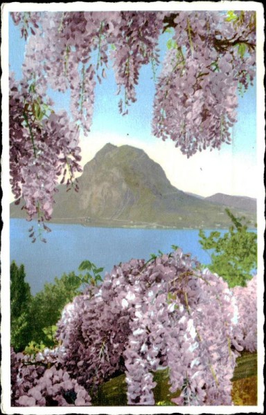 Lugano Vorderseite