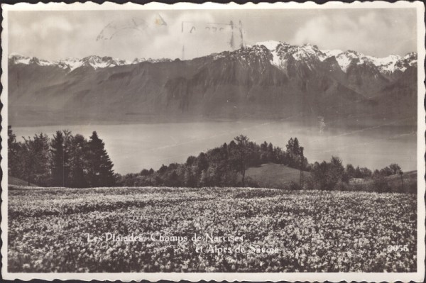 Vevey