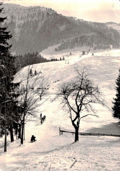 Seebodenalp, Rigi. Skilift Vorderseite