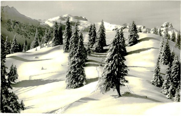 Aufstieg zum Maskenkamm, Flumserberg Vorderseite