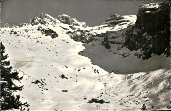 Ruchstock Vorderseite
