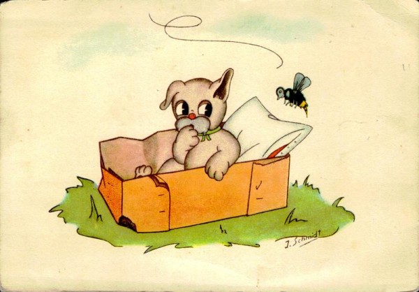 J.Schmidt, Hund Vorderseite