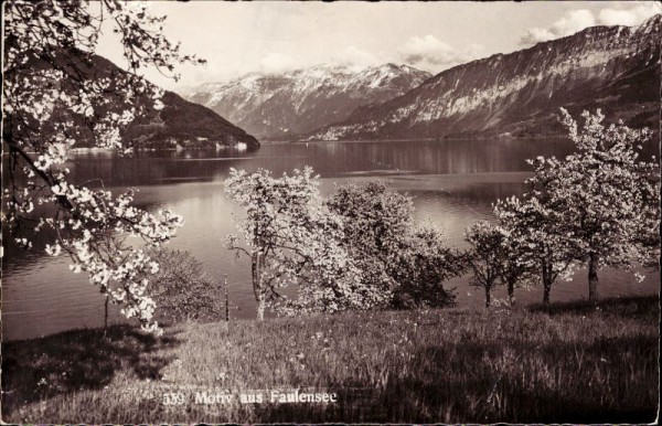 Motiv aus Faulensee