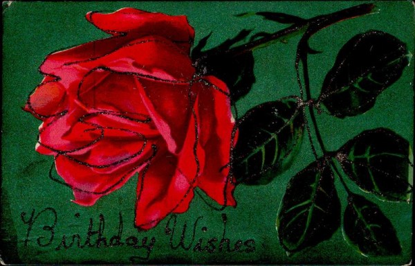 Rose Vorderseite