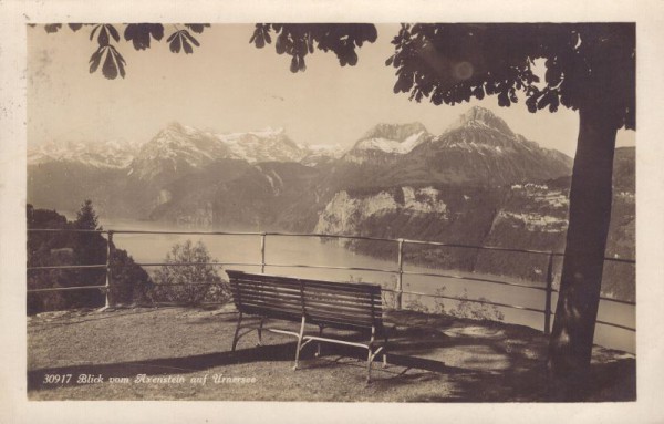 Blick vom Axenstein auf Urnersee