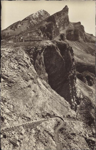 Gemmipass Vorderseite