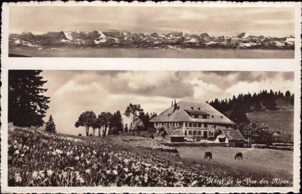 Hôtel de la Vue des Alpes