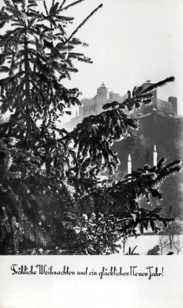 Fröhliche Weihnachten und ein glückliches Neues Jahr! Vorderseite