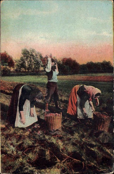 Auf dem Feld Vorderseite