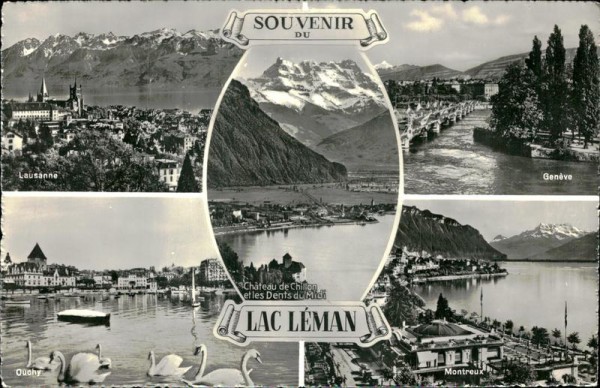 Genfersee Vorderseite