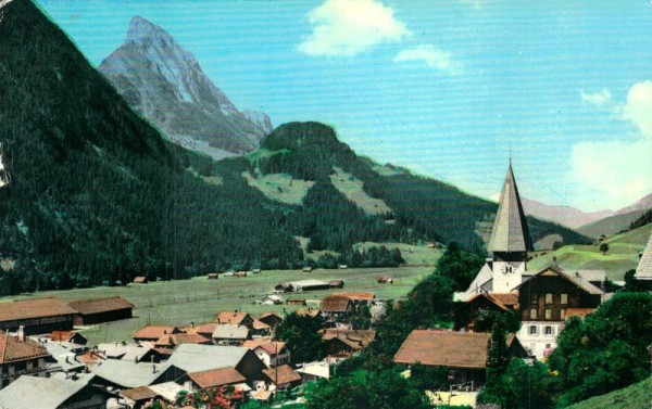 Saanen Vorderseite