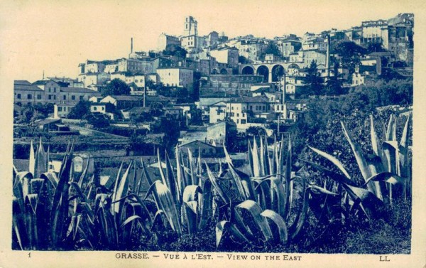 Grasse Vorderseite