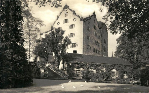 Schloss Wildegg mit Burghof Vorderseite