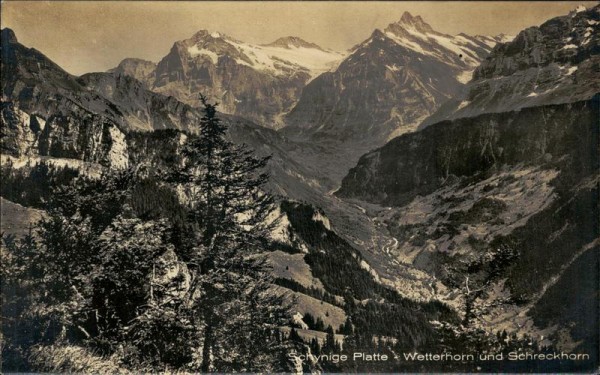 Schynige Platte Vorderseite