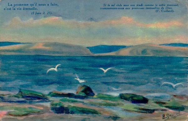Strand d'Ecosse Vorderseite