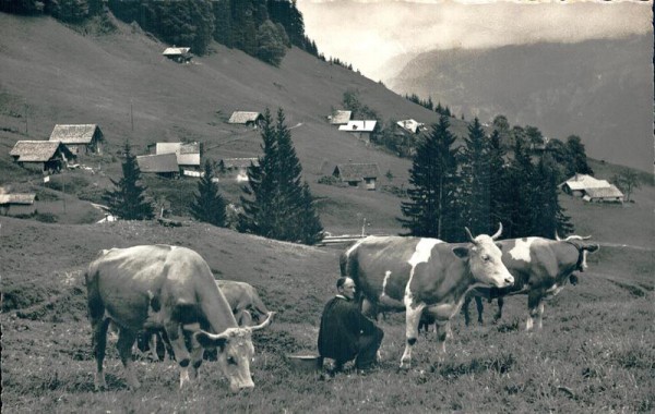 Planalp, an der Brienz-Rothornbahn Vorderseite