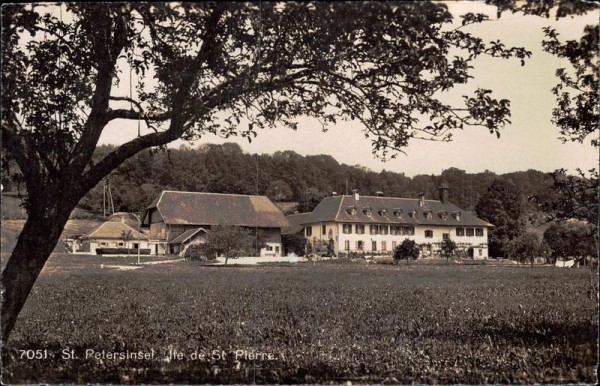 St. Petersinsel, Erlach, Bielersee Vorderseite
