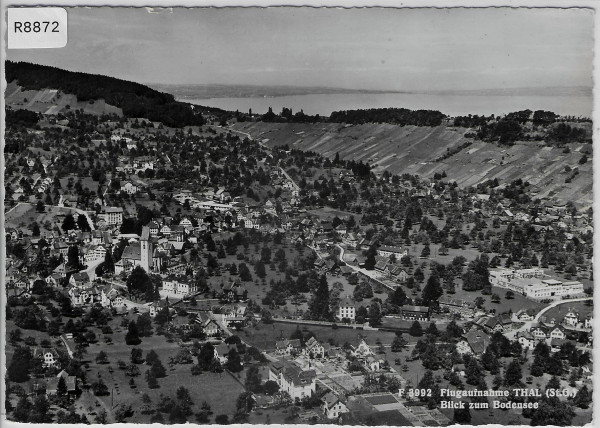 Flugaufnahme Thal - Blick zum Bodensee