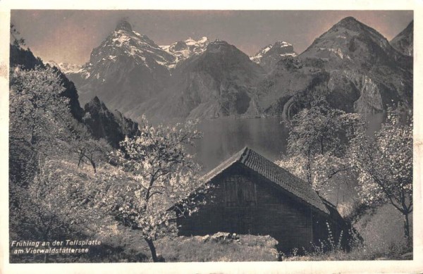 Frühling an der Tellsplatte am Vierwaldstätter. 1925 Vorderseite
