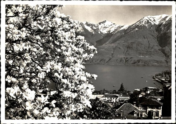 Muralto Vorderseite