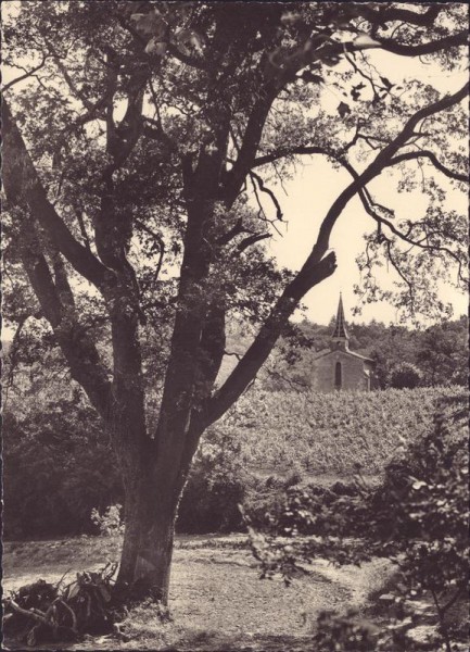 Charteuse de Valbonne Vorderseite