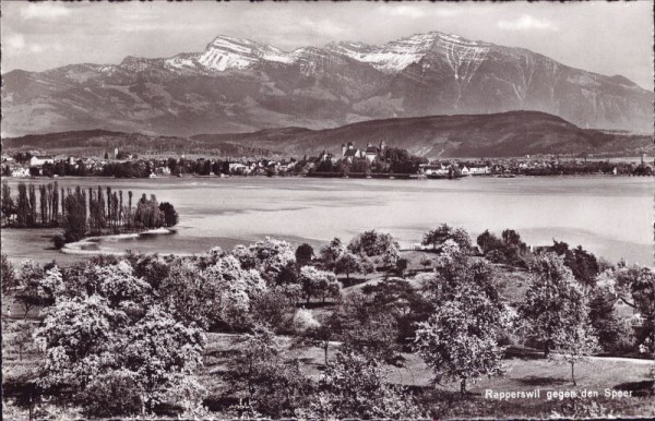 Rapperswil gegen den Speer