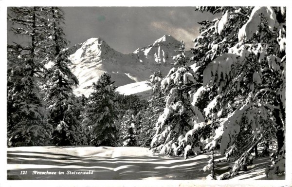 Neuschnee im Stazerwald Vorderseite