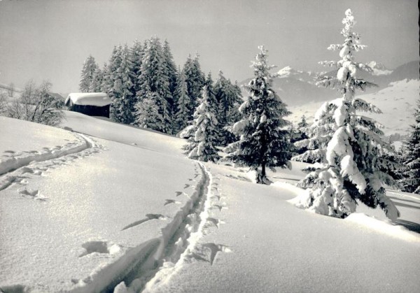 Winter im Obertoggenburg bei Wildhaus Vorderseite