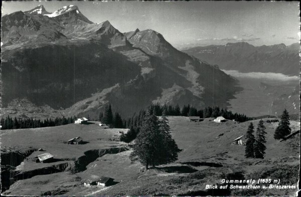 Gummenalp (1635 m) Vorderseite