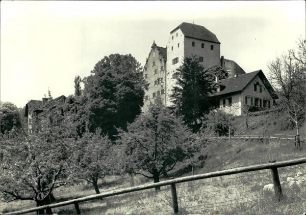 Schloss Wildegg Vorderseite
