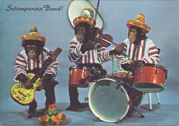 Schimpansen-Band, Käpten Jo's Haifischbar, Zürich Vorderseite
