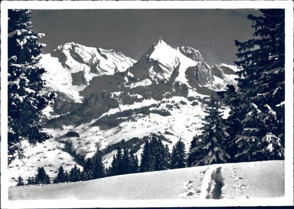 Skigebiet Obertoggenburg Vorderseite