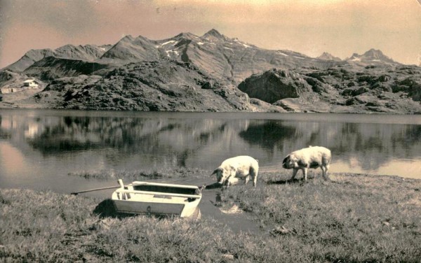 Grimsel Vorderseite