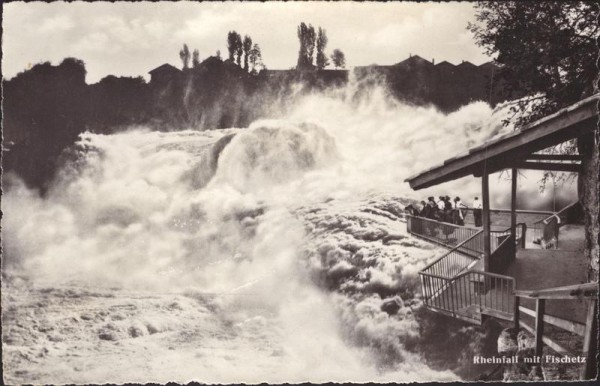 Rheinfall mit Fischetz Vorderseite