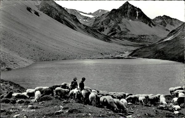 Arosa Vorderseite