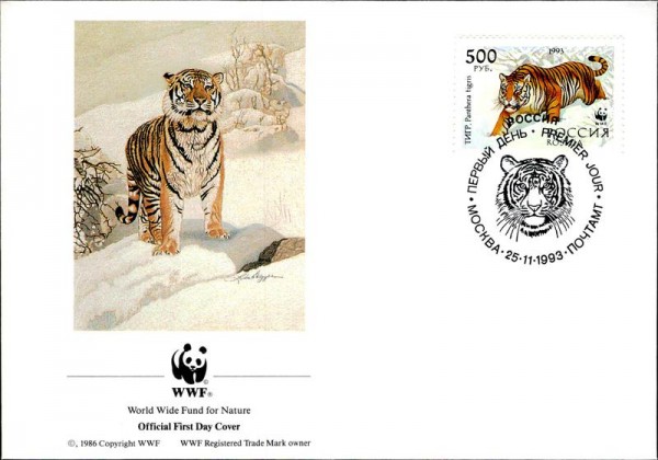 Sibirischer Tiger Vorderseite