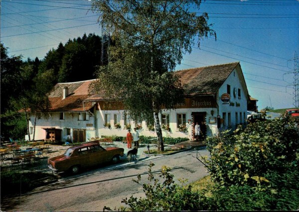 Orn-Hinwil, am Bachtel, Gasthaus Jägerhaus Vorderseite