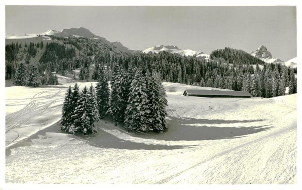 Prodkamm, Maskenkamm und Zieger, Flumserberg Vorderseite