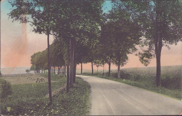 unbekannte Allee Vorderseite