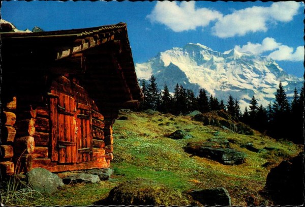 Berner Oberland, Jungfrau (4158 m) Vorderseite